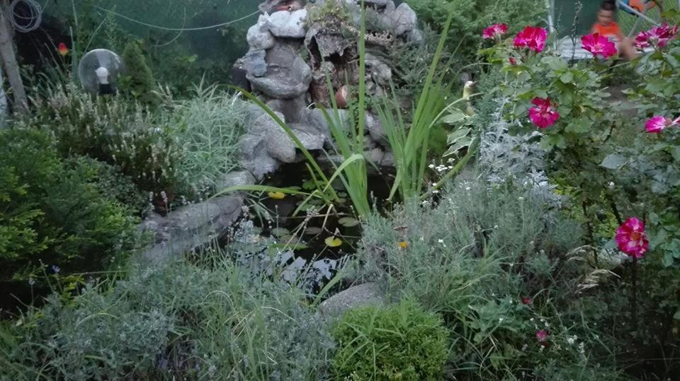 Veselata Guest House Долішня Баня Екстер'єр фото